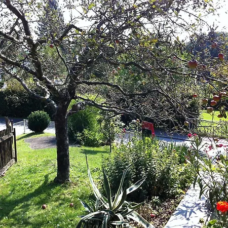 福尔茨图博旅馆